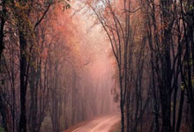 这场比赛,看点多多,令人回味无穷