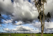 这场比赛,看点多多,令人回味无穷