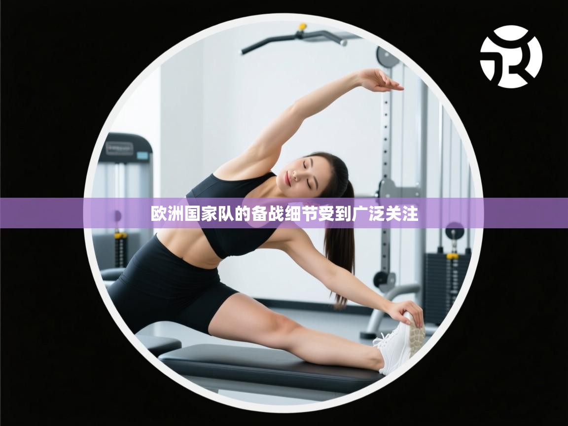 欧洲国家队的备战细节受到广泛关注  第2张