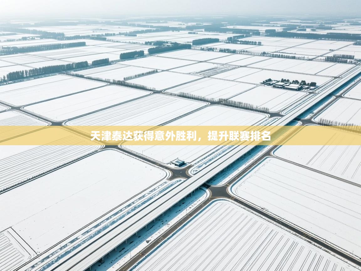 天津泰达获得意外胜利，提升联赛排名  第1张