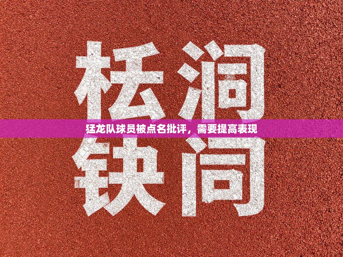 猛龙队球员被点名批评，需要提高表现  第1张