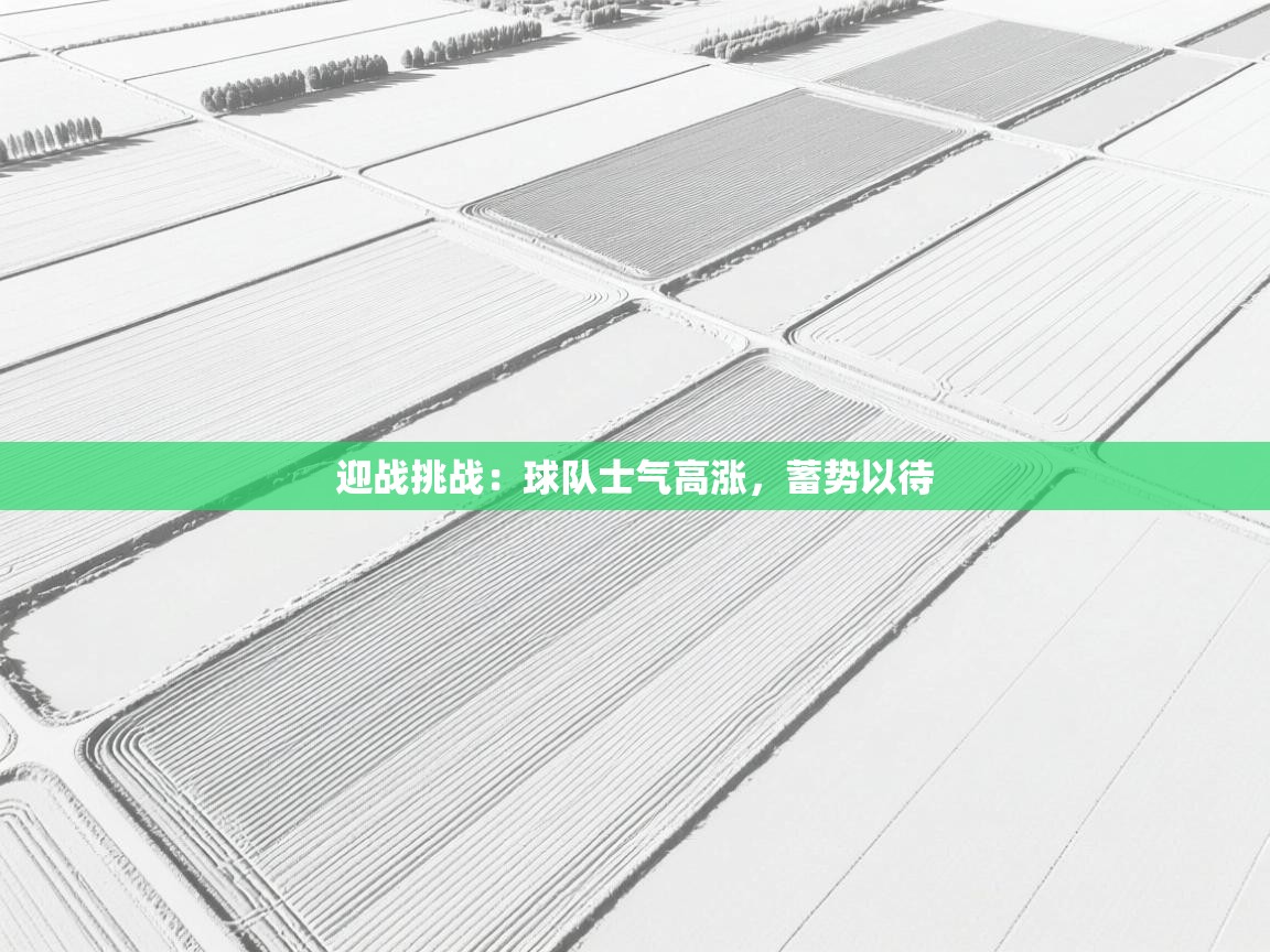 迎战挑战：球队士气高涨，蓄势以待  第1张