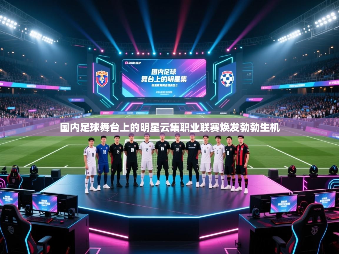 国内足球舞台上的明星云集职业联赛焕发勃勃生机  第2张