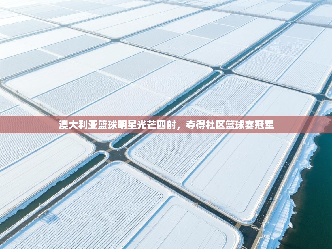 澳大利亚篮球明星光芒四射，夺得社区篮球赛冠军  第1张