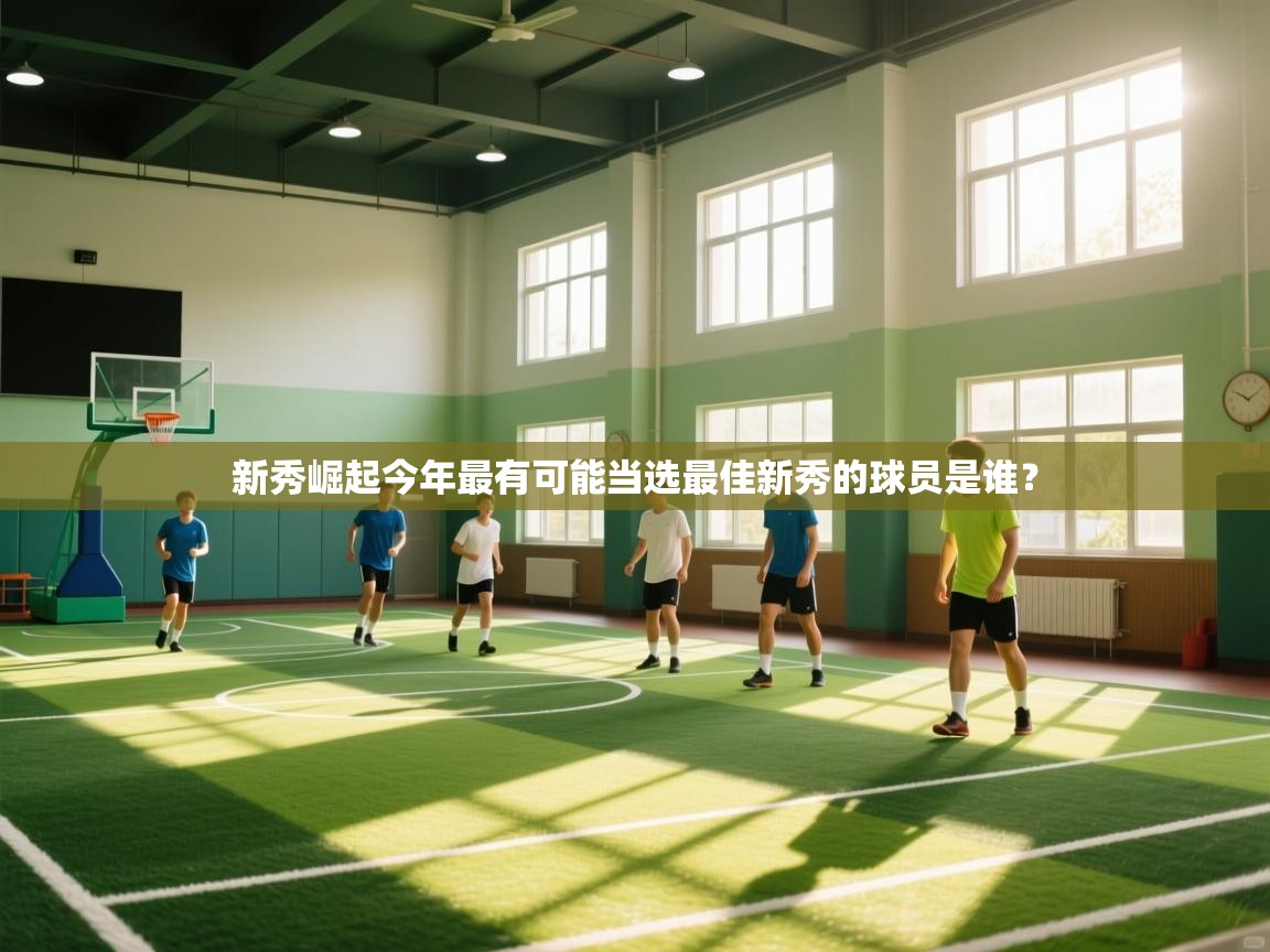 新秀崛起今年最有可能当选最佳新秀的球员是谁？  第2张