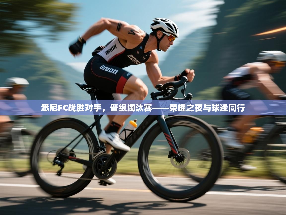 悉尼FC战胜对手，晋级淘汰赛——荣耀之夜与球迷同行