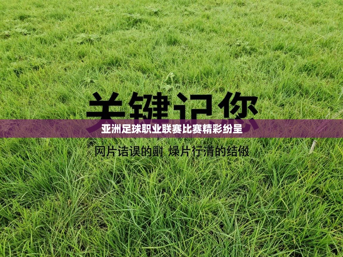 亚洲足球职业联赛比赛精彩纷呈