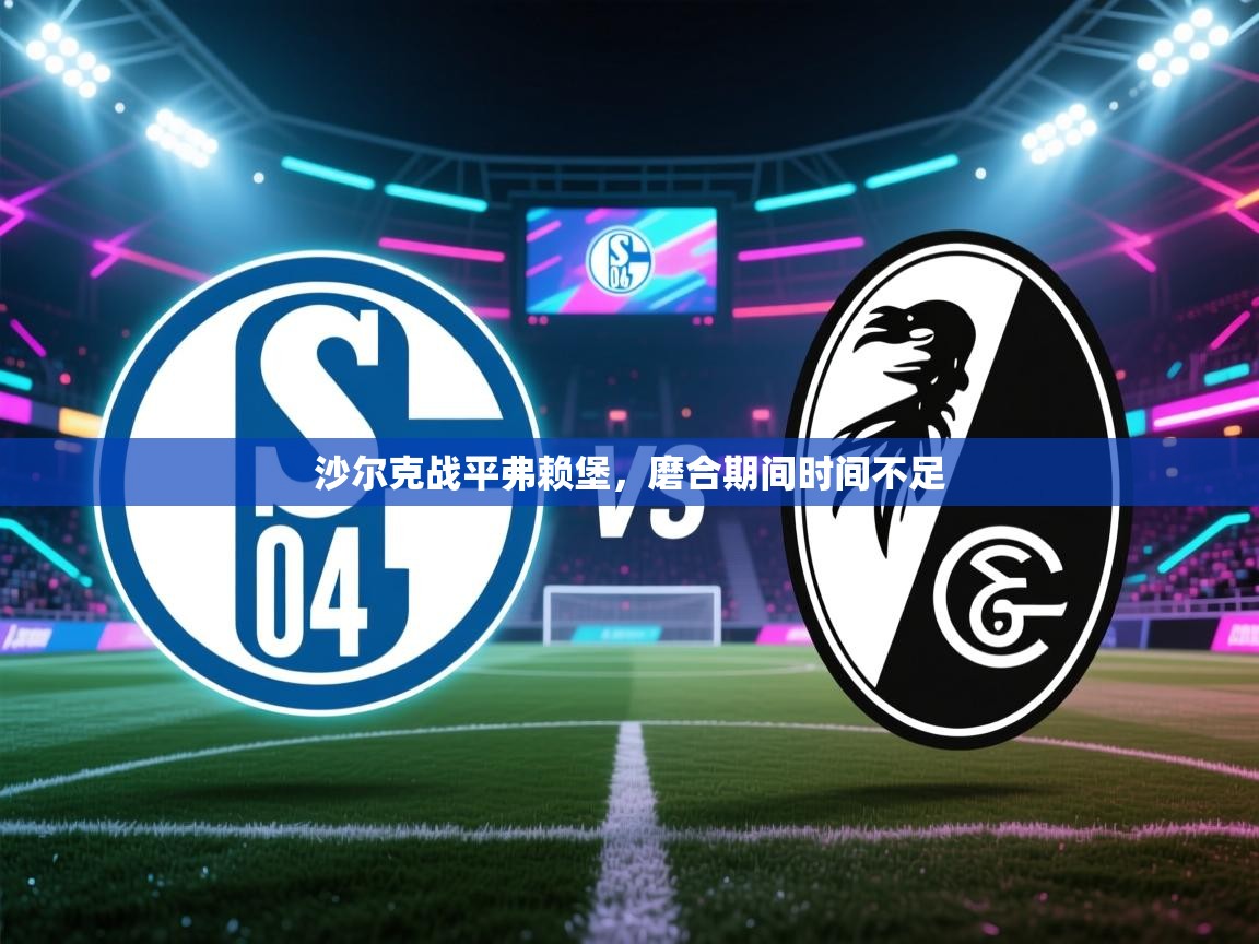 沙尔克战平弗赖堡，磨合期间时间不足  第1张