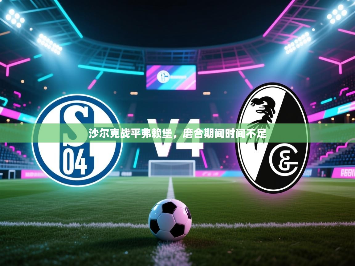 沙尔克战平弗赖堡，磨合期间时间不足  第2张