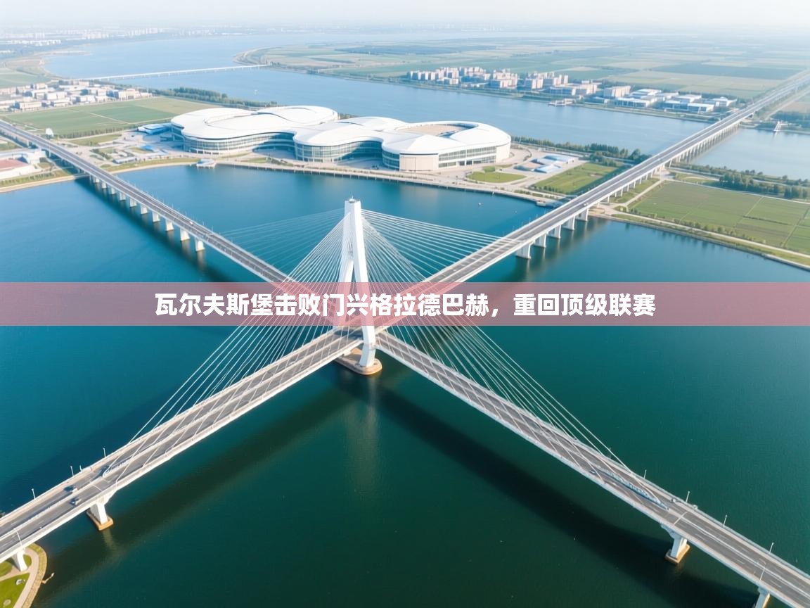 瓦尔夫斯堡击败门兴格拉德巴赫，重回顶级联赛  第2张