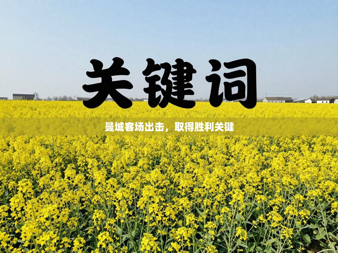 曼城客场出击,取得胜利关键 第2张