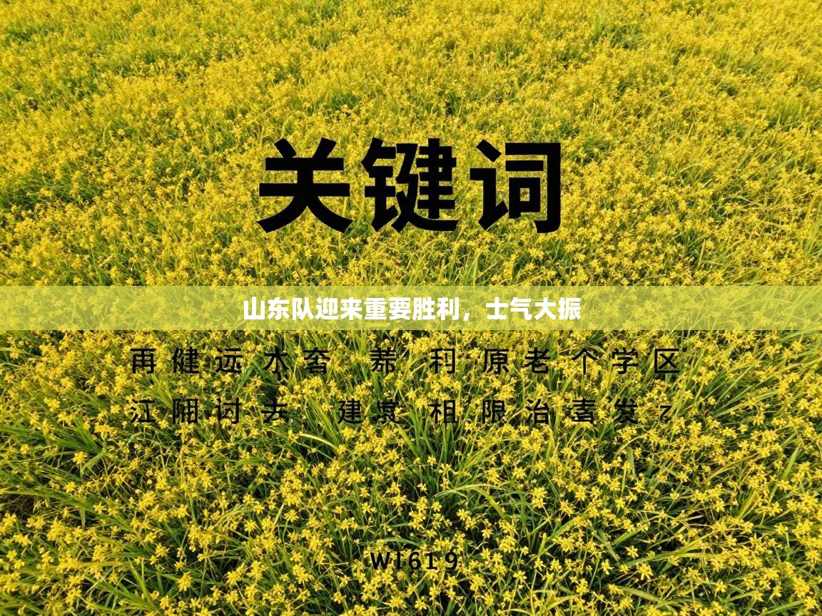 山东队迎来重要胜利，士气大振  第2张